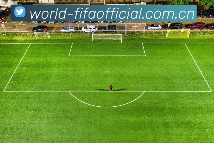 FIFA官方数据授权证书
